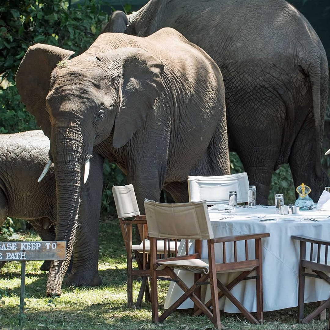 1 Safari life holiday packages