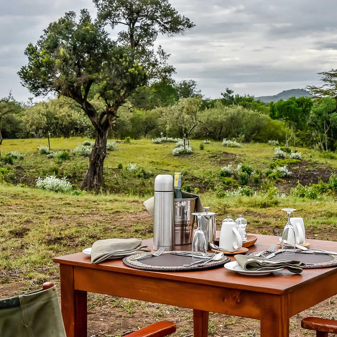 5 Safari life holiday packages