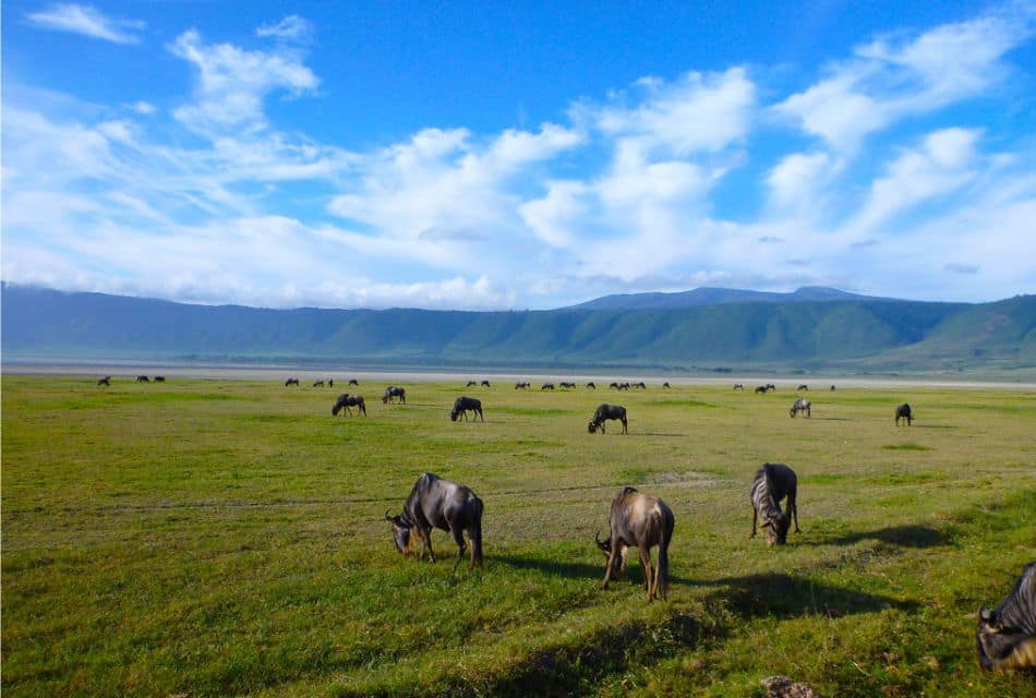 ngorongoro crater 4