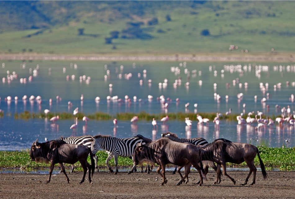 lake manyara national park 1
