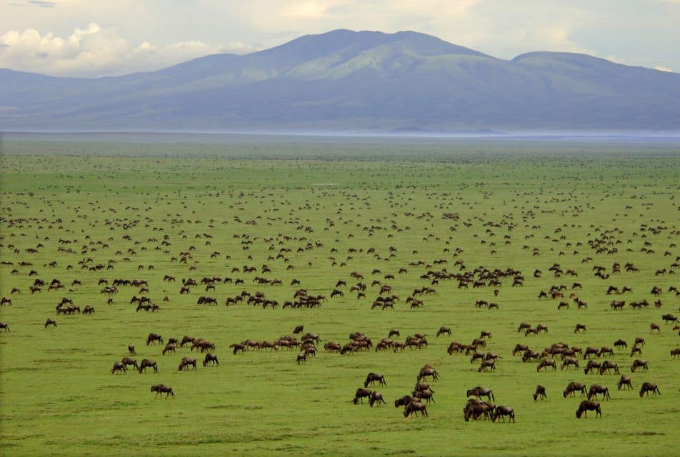 serengeti national park 2 serengeti national park